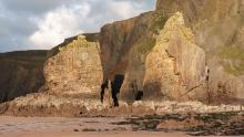 Sandymouth Columns