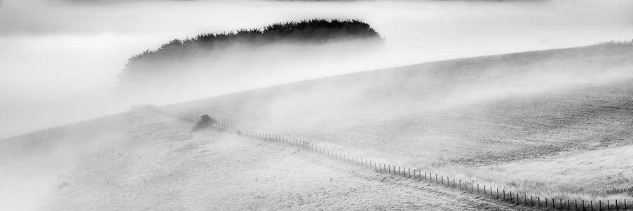 Combehead Wood