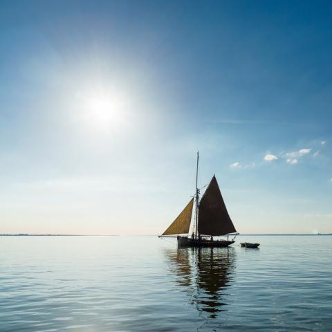 Thames Sailing Boat