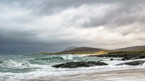 Harris Waves