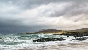 Harris Waves